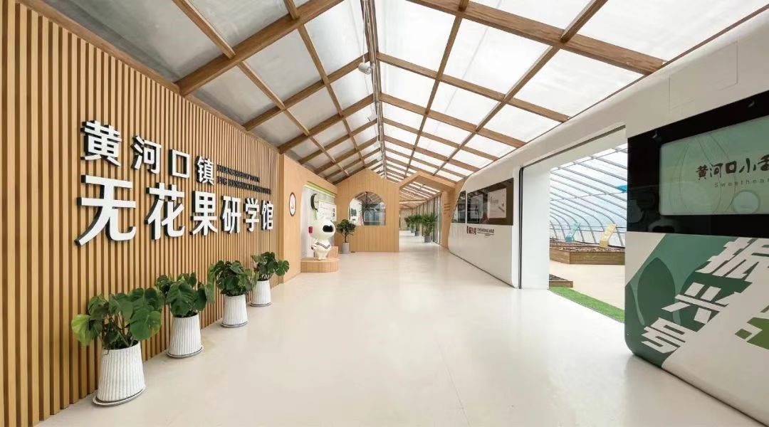 山東農(nóng)擔(dān)“強(qiáng)村貸”為村集體經(jīng)濟(jì)“貸來”金融活水