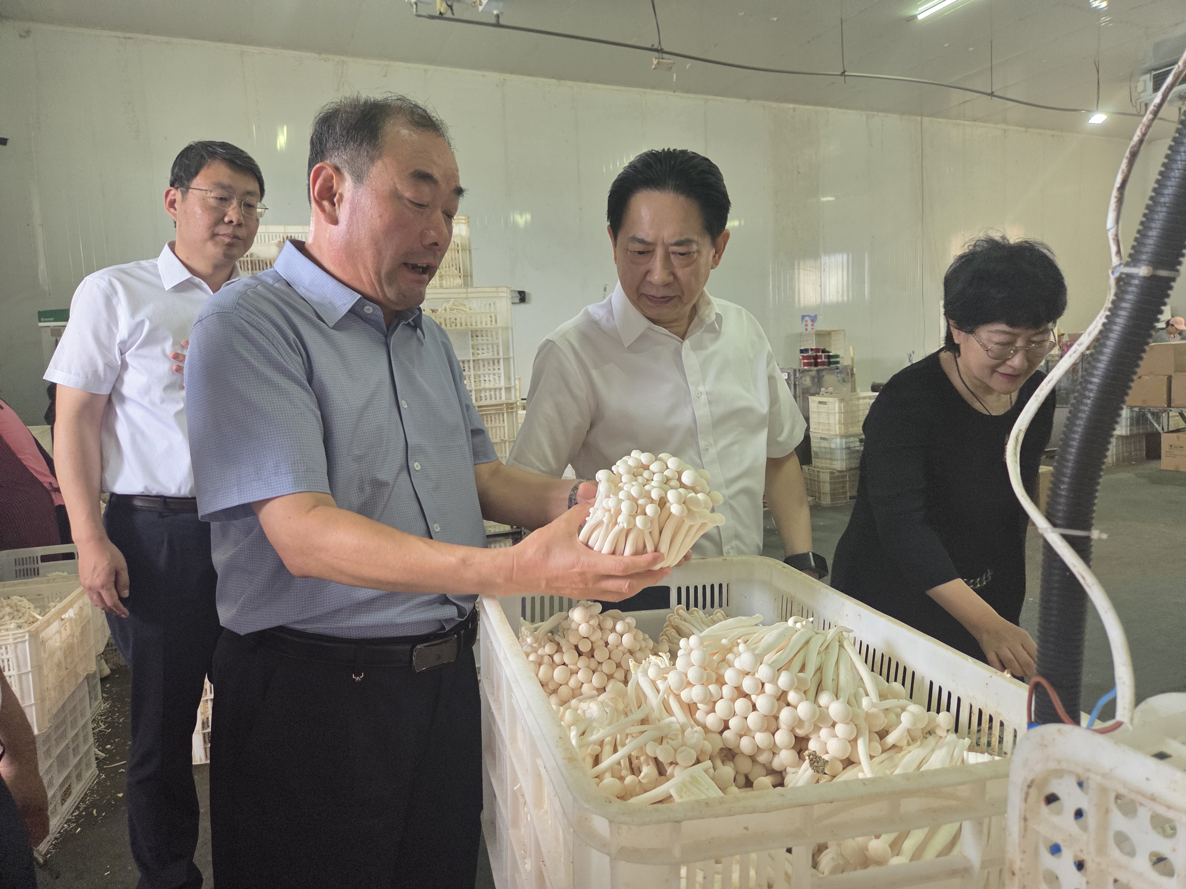 公司黨委書記、董事長李航帶隊到濟(jì)南調(diào)研